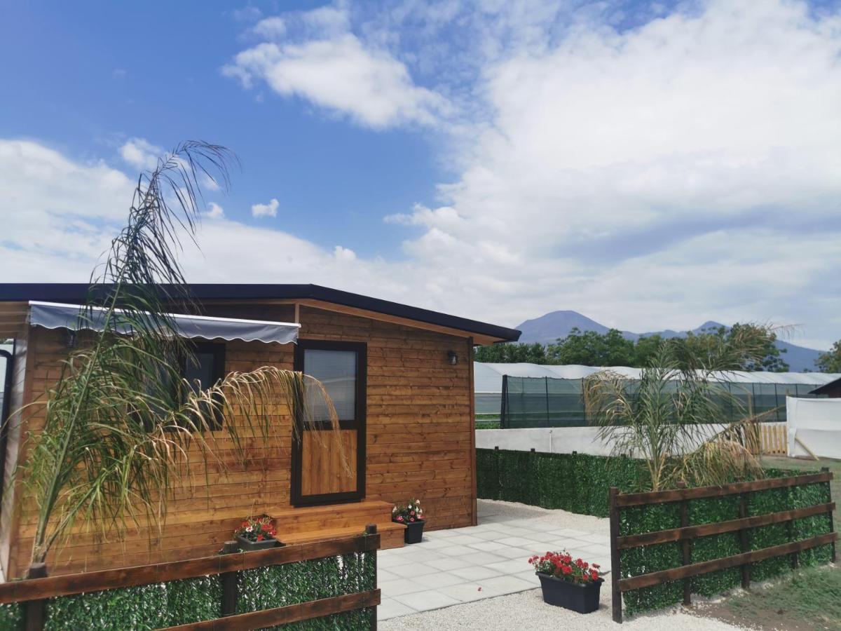Vesuvius Chalet Relax Apartment Боскореале Екстериор снимка