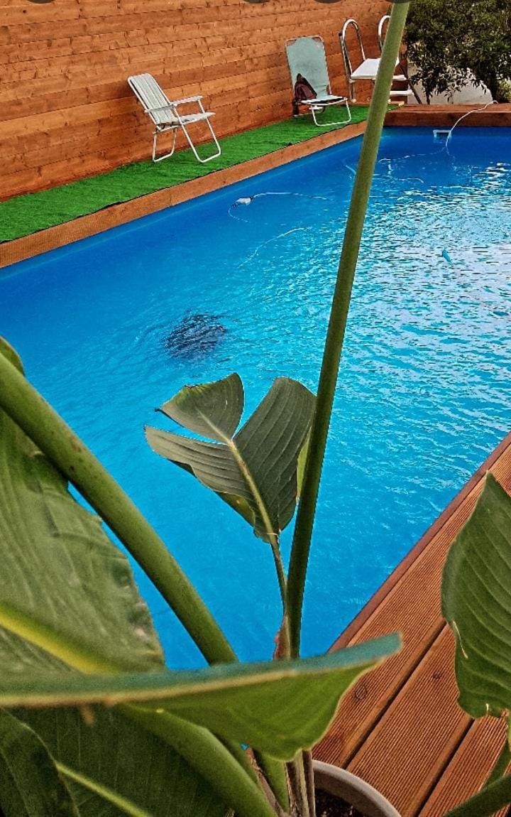 Vesuvius Chalet Relax Apartment Боскореале Екстериор снимка